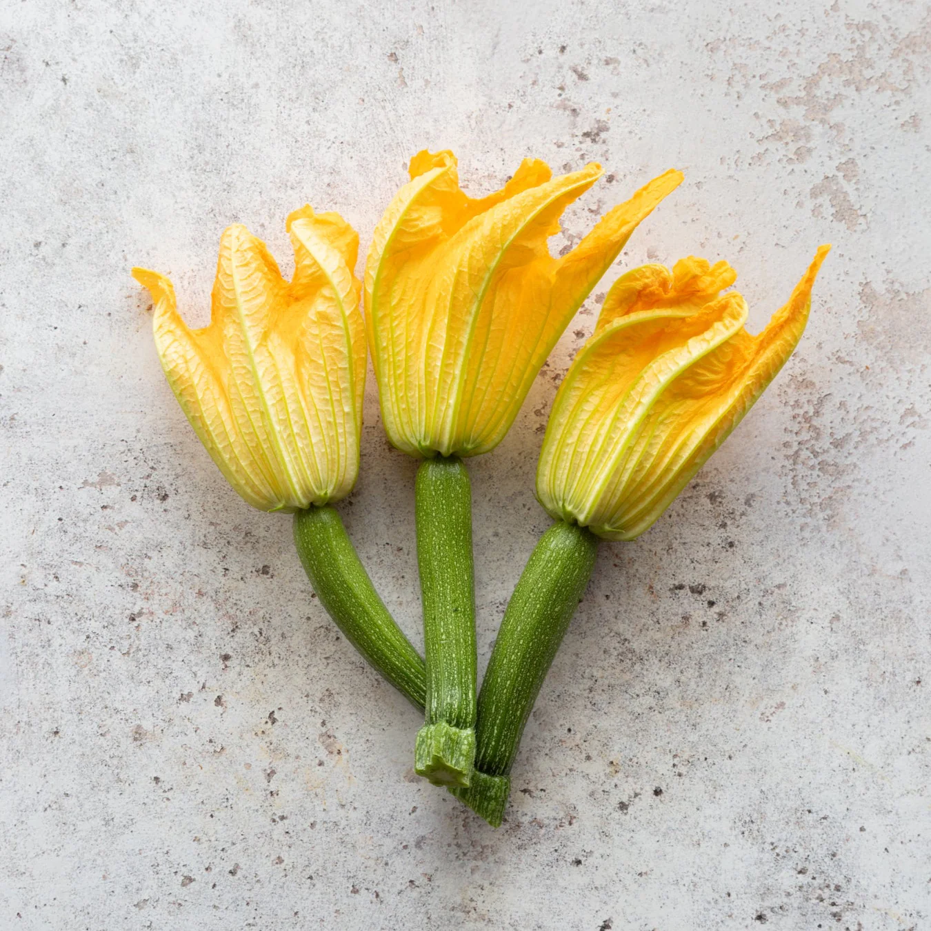 Fresh Courgette Flowers
