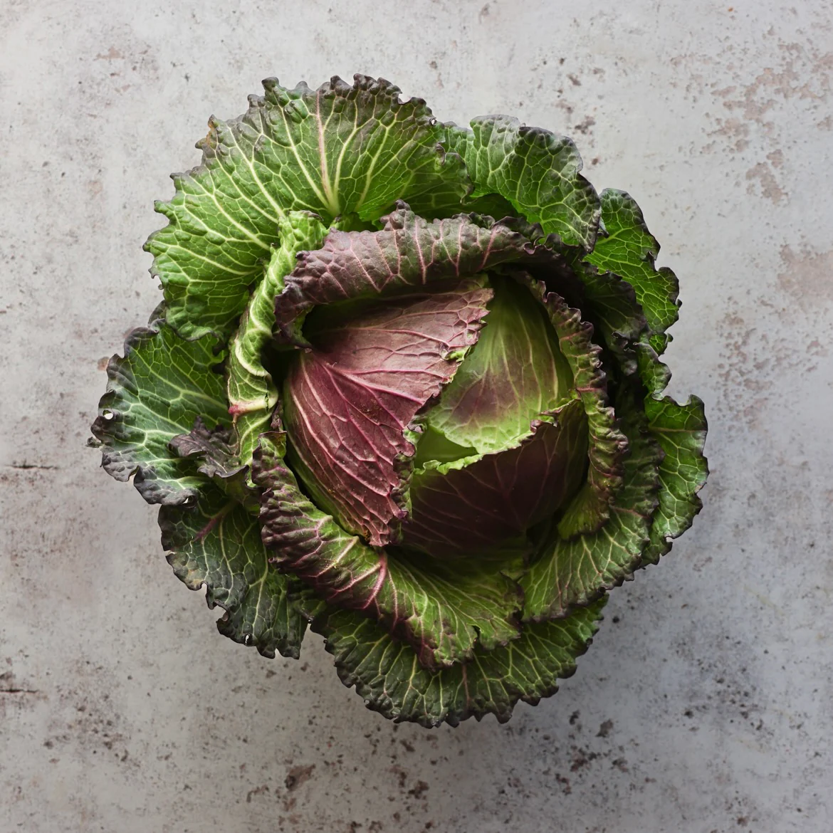 January King Cabbage