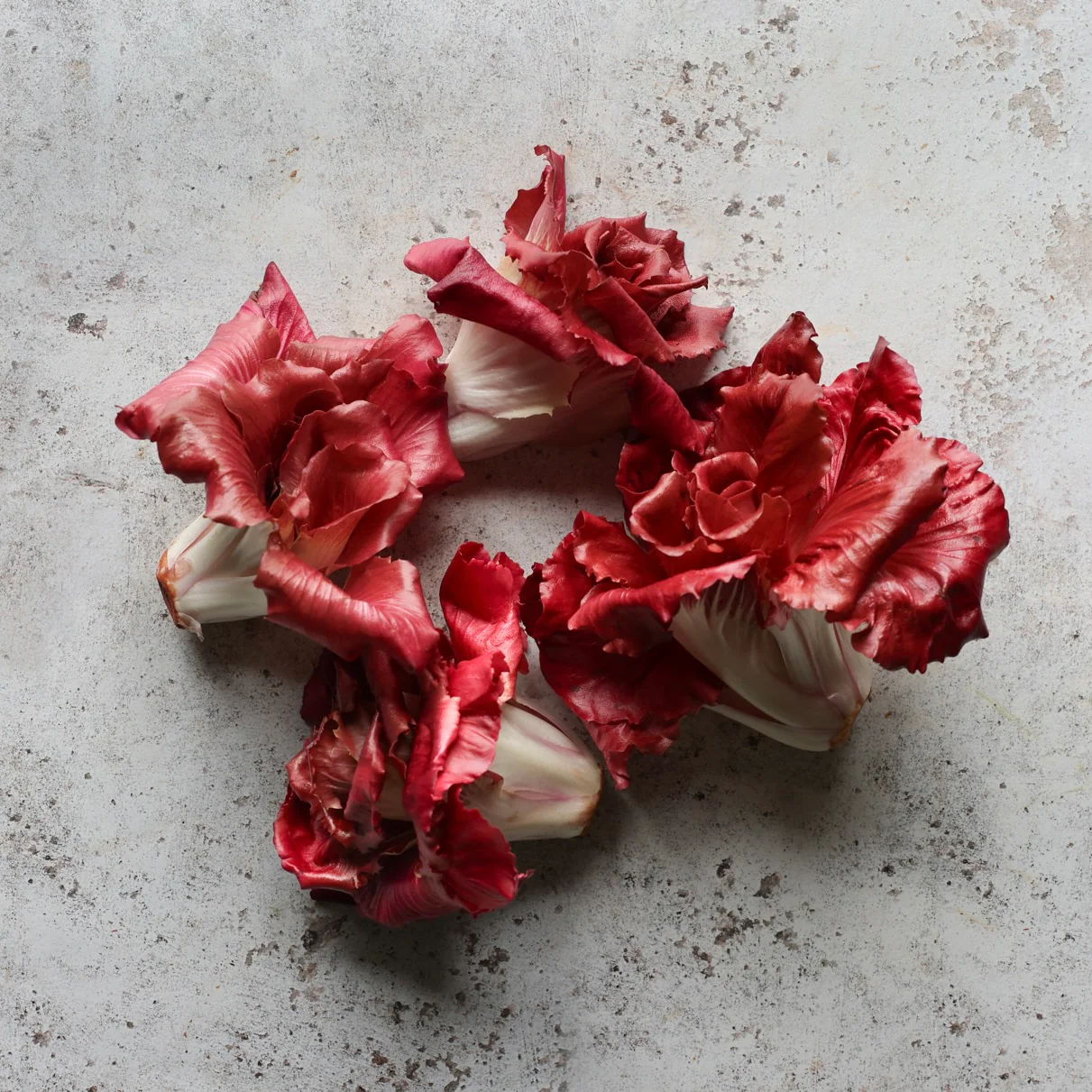 La Rosa Radicchio