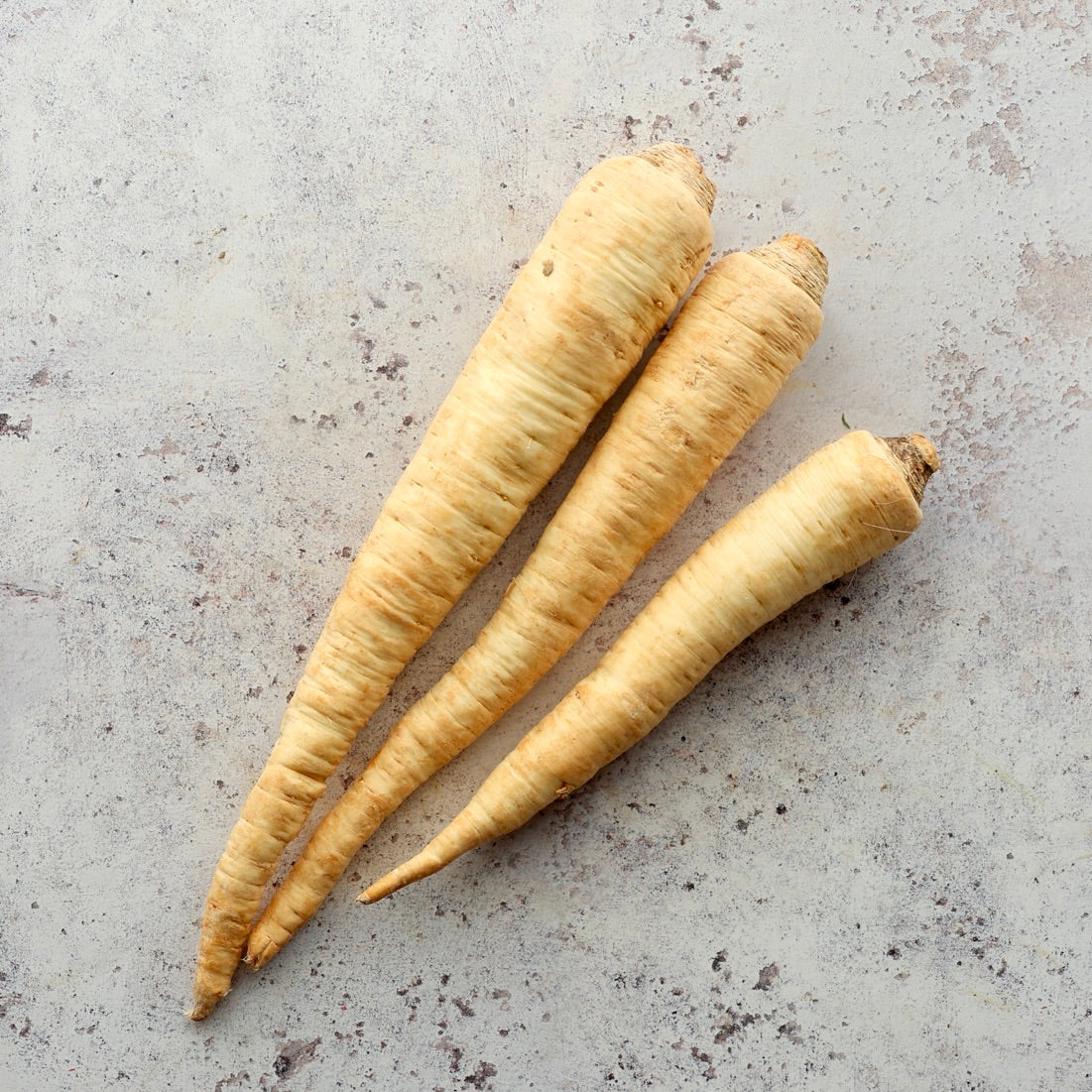 Parsley Root