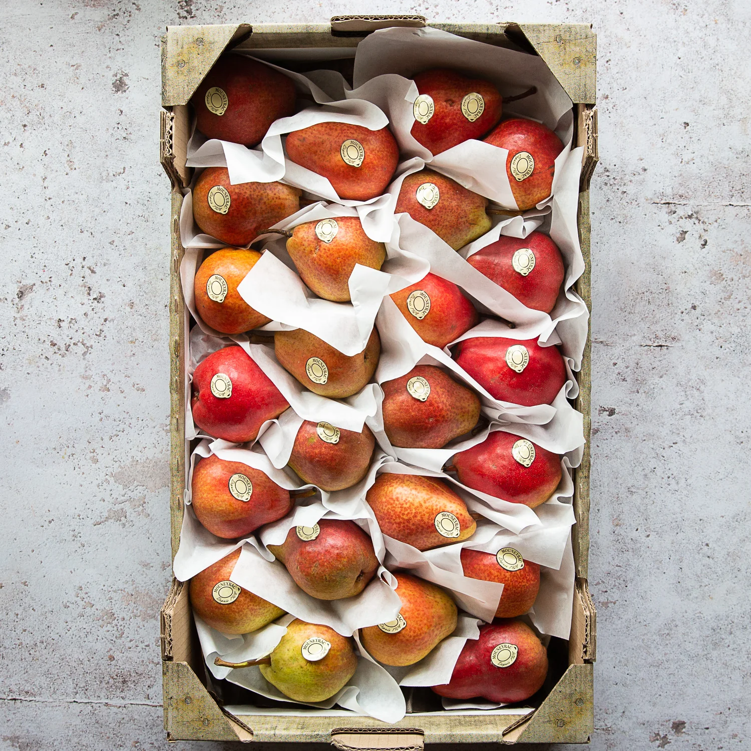 Red Williams Pears - Image 2